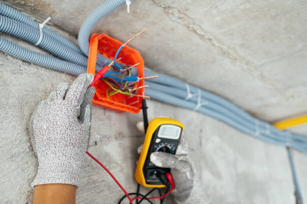 Best Generator Installation Services  in Sullivan, IL